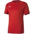 Puma teamGOAL 23 Jersey M 704171 01 pánske dresy
