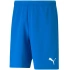 Pánske teamRISE Short M 704942 02 - Puma