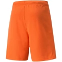 Pánske krátke nohavice TeamRise Short Prist M 704942 08 - Puma