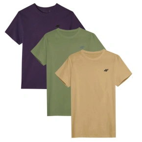 Tričká 4F M 4FWSS25TTSHM3956-92S muži