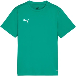 Detský dres Puma TeamGoal green 658637 05