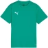 Detské tričko Puma TeamGoal green 658637 05