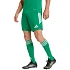 Pánske šortky adidas Tiro 26 League green KA8774
