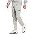 Pánske nohavice adidas Essentials Feelcozy Cargo, svetlosivé, JE3823
