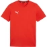 Puma Team Goal Casuals Tee M 658615 01 pánske
