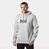 Helly Hansen pánska mikina HH LOGO HOODIE 54582 949 pánska