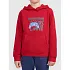 Bluza z kapturem i nadrukiem chłopieca 4F 4FJWAW26TSWSM2690-61S