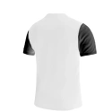 Pánske Dri-Fit Tiempo Premier 2 M DH8035-100 - Nike