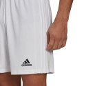 Pánske kraťasy Squadra 21 Short M GN5774 - Adidas
