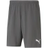 Pánske krátke nohavice TeamRise Short M 704942 13 - Puma