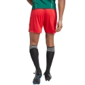 Pánske šortky Tiro 23 League M IB8090 - Adidas