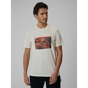 T-shirt regular z nadrukiem męski 4F 4FRSS26TTSHM4238-11S