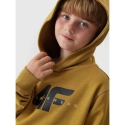 Mikina 4F Jr 4FJAW23TSWSM628-74S
