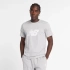 Tričko New Balance S/S Sport Graphic V Flying MT43906AG pánske