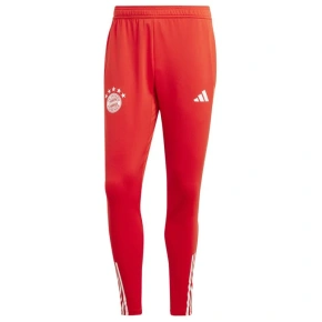 Pánske tréningové nohavice adidas FC Bayern M IQ0605 Pánske tréningové nohavice adidas FC Bayern M IQ0605