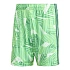 Adidas Tiro 26 Súťažné brankárske šortky KC5346
