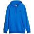 Puma ESS+ Tape Hoodie FL M 849040 47 Muži