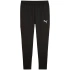 Puma Team Goal Slim tréningové nohavice M 659037 03