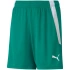 Šortky Puma teamLIGA Jr 704931 05