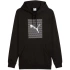 Pánska mikina Puma Ess Logo Lab Hoodie FL M 684669 01