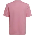 Entrada 22 Graphic Jersey Jr HC2632 - Adidas