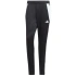 Nohavice adidas Tiro 24 Training M P1952