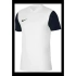 Pánske Dri-Fit Tiempo Premier 2 M DH8035-100 - Nike