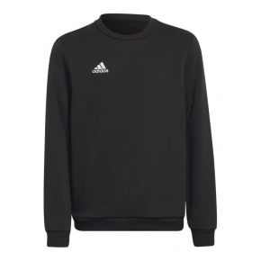 Detská mikina Entrada 22 Sweat Jr H57474 - Adidas