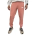 Puma Ess+ 2 Col Logo nohavice M 586768 62