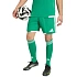Pánske šortky adidas Tiro 26 Competition Match Day Green KA6175