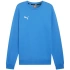 Pánska mikina Puma Team Goal Casuals Crew Neck M 658592 02