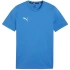 Puma Team Goal Casuals Tee M 658615 02 muži