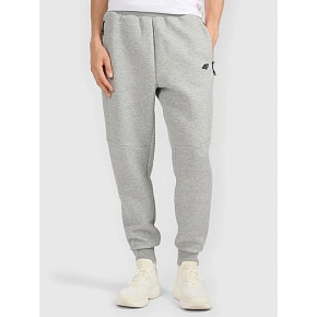 Pánske tepláky typu jogger 4F 4FRMM00TTROM1623-27M