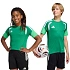 Detské tréningové tričko adidas Tiro 26 green KA7606