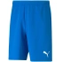 SPORT Pánske krátke nohavice teamRISE 704942 02 Light blue - Puma