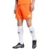 Pánske šortky adidas Entrada 26 orange JZ2512