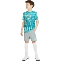 Detské šortky NK Df Academy Shrt Wp Gx Jr CV1469 019 - Nike