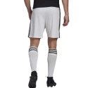 Pánske krátke nohavice Squadra 21 M GN5773 - Adidas