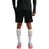 Pánske šortky Nike Dri-FIT PSG, čierne, II2611 010