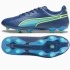 Puma King Match FG/AG M 107570-02