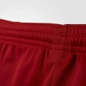 Pánske futbalové šortky PARMA 16 SHORT M AJ5881 - Adidas