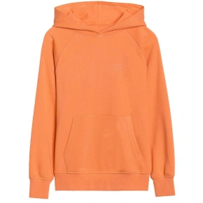 4F M1712 Jr Mikina 4FJWSS25TSWSM1712 70S