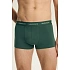 Pánske boxerky 2PAK 44521 SS26 zelené/šedé – Henderson