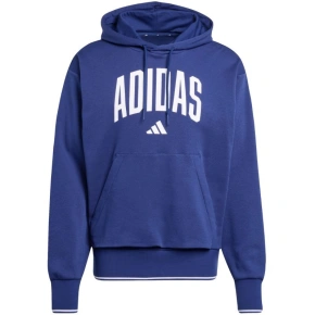 Mikina adidas Collegiate Hoodie M KC3874 men