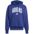 Mikina adidas Collegiate Hoodie M KC3874 men