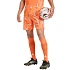 Pánske brankárske šortky adidas Tiro 26 Competition orange KC5345