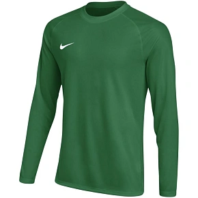 Pánske tričko Nike Dri-FIT Park VIII, zelené, HV8232 302