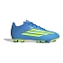 Juniorská obuv adidas F50 Club FG/MG JS1479