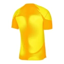 Pánske brankárske tričko Dri-FIT ADV Gardien 4 M DH7760-719 - Nike
