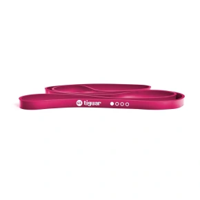 Power Bar GT od tiguar - I Plum